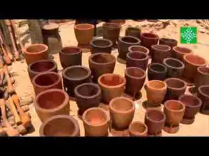 Video: Waiwaye Ep 85